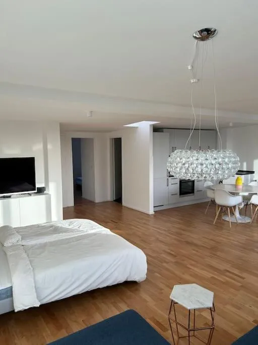 Image 4 of Außenalster Penthouse Charakter
