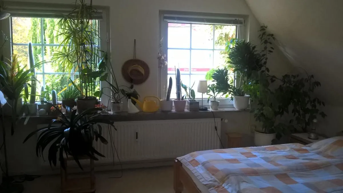 Image 1 of Gemütl. Ferienwohnung und Privatzimmer
