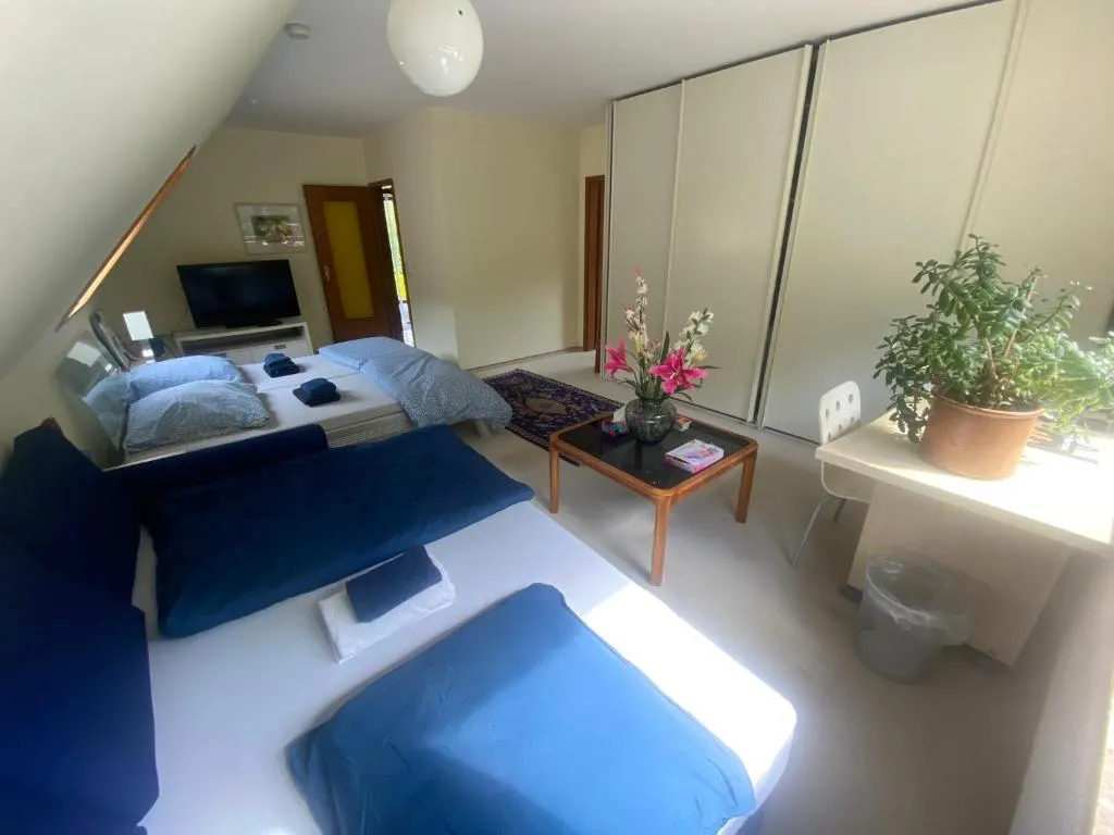 Image of Gartenblick-Oase: Obergeschosswohnung in Hamburg
