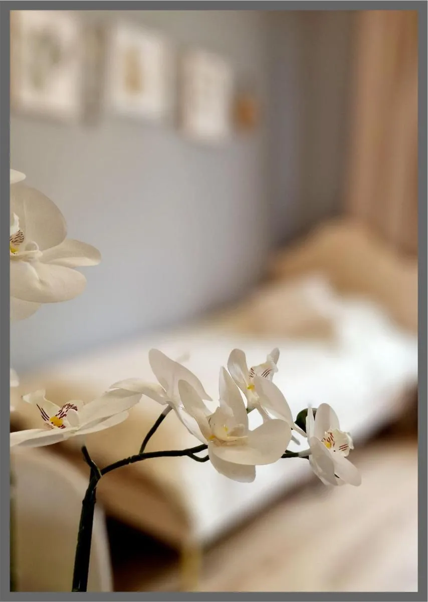 Image 4 of My Bed Bergedorf by Gugu